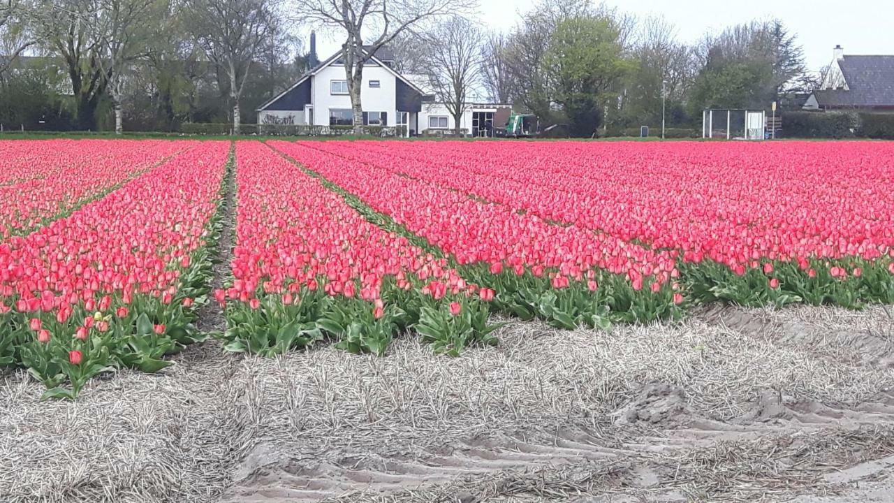 Vrijstaande Blokhut Villa Egmond-Binnen Dış mekan fotoğraf