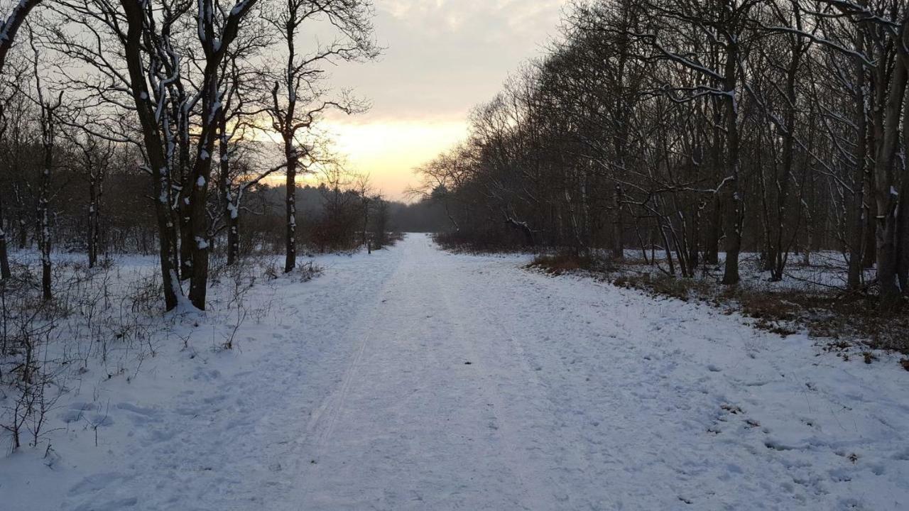 Vrijstaande Blokhut Villa Egmond-Binnen Dış mekan fotoğraf